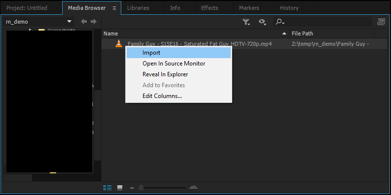 Adobe Premiere Pro: Import File
